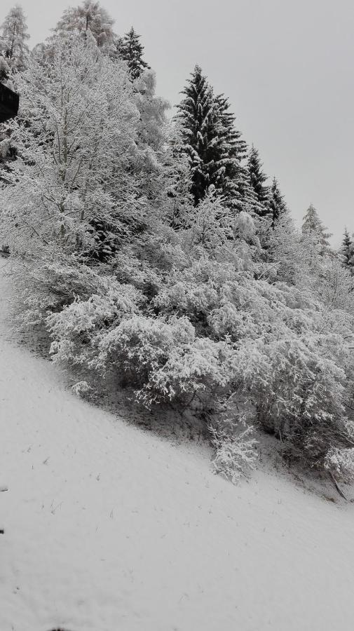 Pension Brunner Bad Kleinkirchheim Buitenkant foto